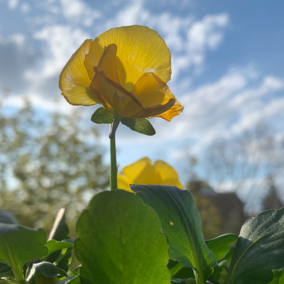 Meet your Posher, I. - Picture 1 of 1